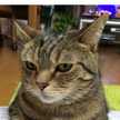 17歳ハッピーママ