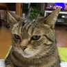 17歳ハッピーママ