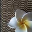 romix7