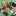 shimachan001 shimachan001