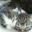 有希-yuki-