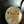 cocoroot
