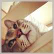 maru723