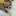 shuty5296 shuty5296