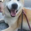 ゆー★ここ