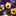 htm_pad