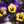 htm_pad