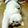 gonchi0709 gonchi0709