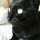 黒猫のもも 黒猫のもも