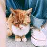 ねこまる◎