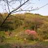 gaaco