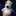 gonta_puu_akemi_822 gonta_puu_akemi_822
