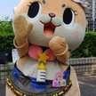 M字禿げ好き