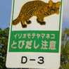 やまぴかりゃ〜