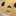 todayisうさぎ todayisうさぎ