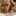 izumi1028 izumi1028