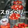 yamachan父