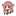 りくちゅ りくちゅ