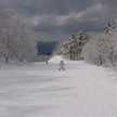 Freshsnow