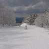 Freshsnow