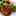 ココロロココ ココロロココ