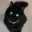 Kuromi77