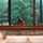 somane