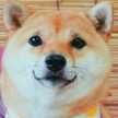 ゆんやともも