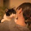 料理が大人気シッター