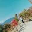omiyuu
