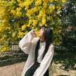 aera_yum