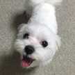Milky0309