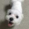 Milky0309