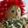 naomintom