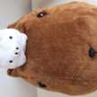 かぴばらこ