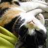 ゆ〜ゆう ゆ〜ゆう