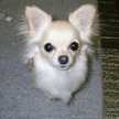 yuka^^