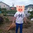 みんごみんごさん