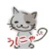 D/Cat