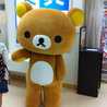 ちょんぼ☆たんたん