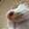 riotaro-