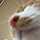 riotaro-