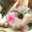 ❀まいねこ❀