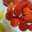 ★mAnA★624