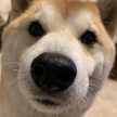 てつじのかーちゃん
