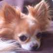 love♡maron
