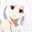 0221ぽこりん