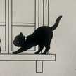 zevcat