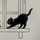 zevcat