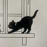 zevcat
